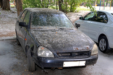 Similar image 22187032