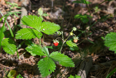 Similar image 22187037