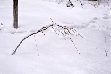 Similar image 22188306