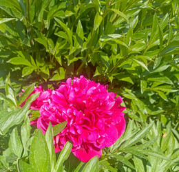 Similar image 22186599