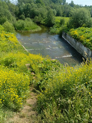 Similar image 22186601