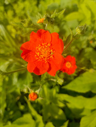 Similar image 22186605