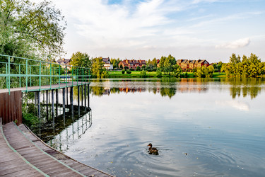 Similar image 22187423