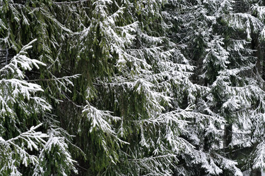 Similar image 22189218