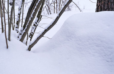 Similar image 22189220