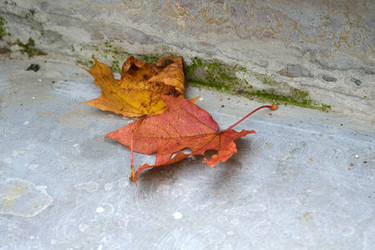 Similar image 22189222