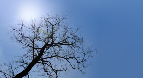 Similar image 22186674