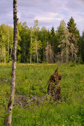 Similar image 22186676