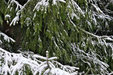 Similar image 22186678