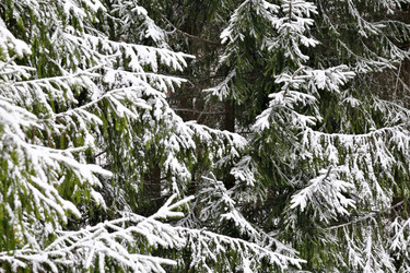 Similar image 22186680