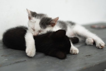 Similar image 22186612