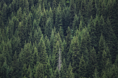 Similar image 22186613