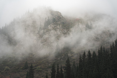 Similar image 22186614