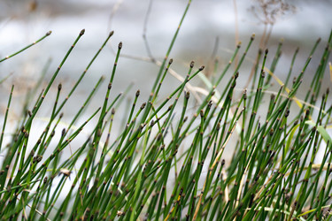 Similar image 22186616