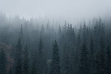 Similar image 22186617