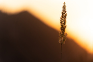 Similar image 22186622