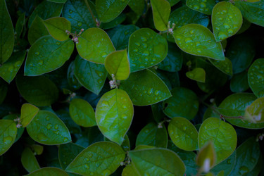 Similar image 22194332