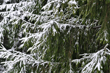 Similar image 22186895