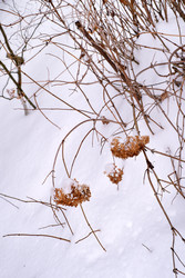 Similar image 22186947