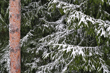 Similar image 22188022