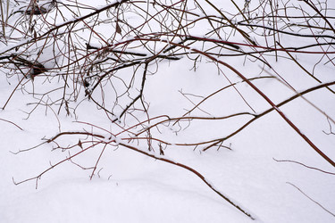 Similar image 22188024