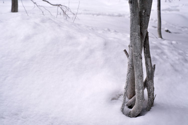 Similar image 22188026