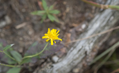 Similar image 22188030