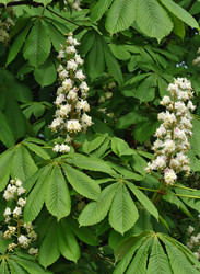 Similar image 22188038