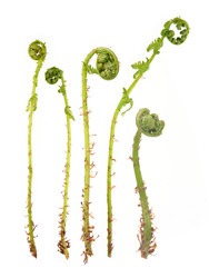 Similar image 22188040