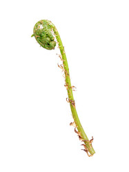 Similar image 22188045