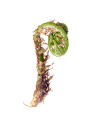 Similar image 22188046