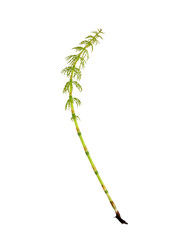 Similar image 22188346