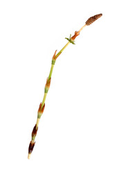 Similar image 22188348