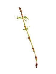 Similar image 22188350