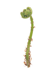 Similar image 22188354