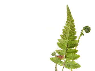 Similar image 22188356