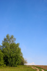 Similar image 22189321