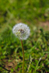 Similar image 22189322