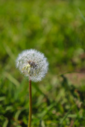 Similar image 22189325