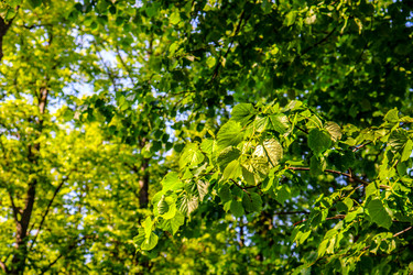 Similar image 22189338