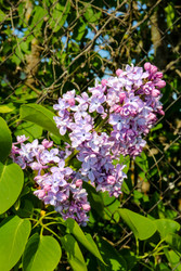 Similar image 22189348