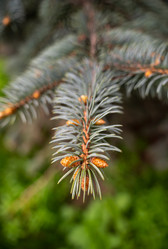 Similar image 22189602