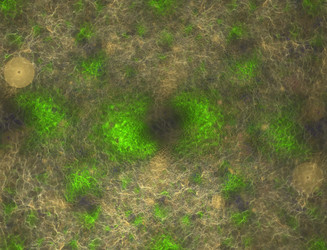 Similar image 22192287