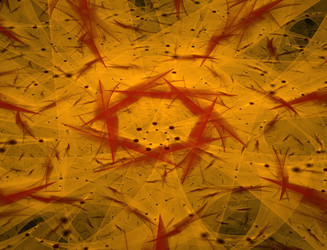 Similar image 22192459