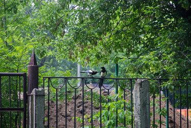 Similar image 22187044