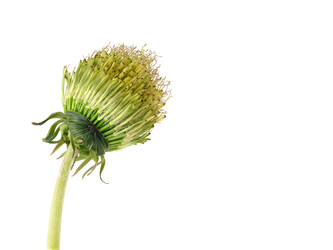 Similar image 22188056