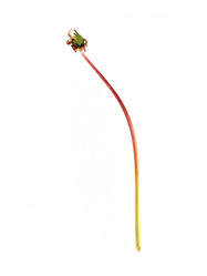 Similar image 22188061