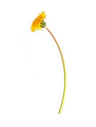 Similar image 22188064