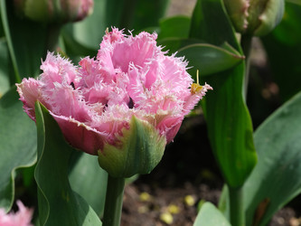 Similar image 22188065