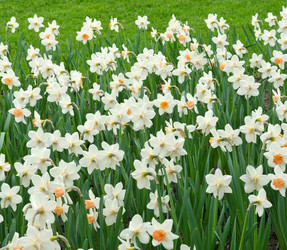 Similar image 22188066